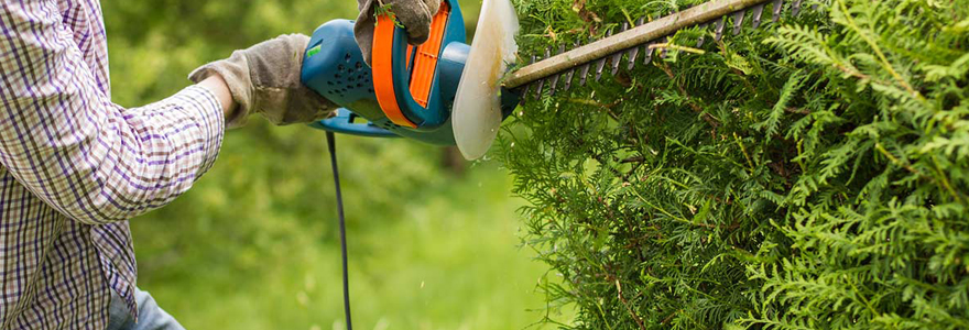 entretien de jardins